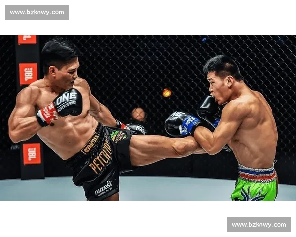 康李对决播求：东西方踢拳传奇巅峰碰撞之夜史诗级对抗全球瞩目盛战