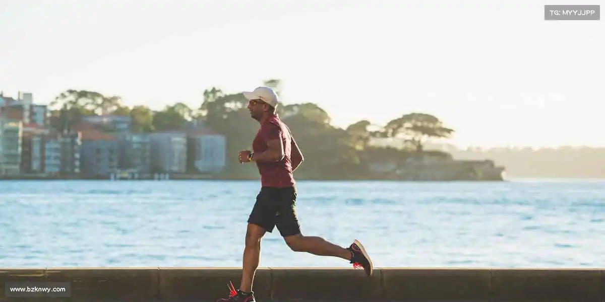 行业领先的理由